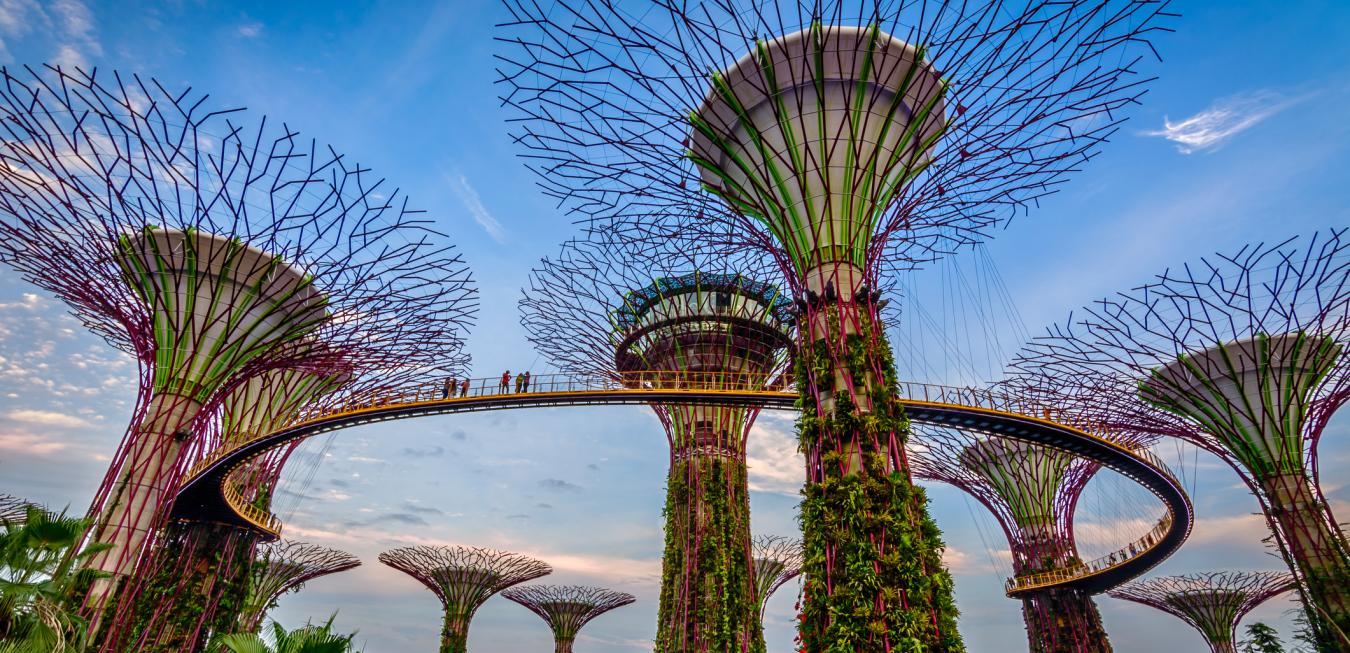 gardens by the bay singapore