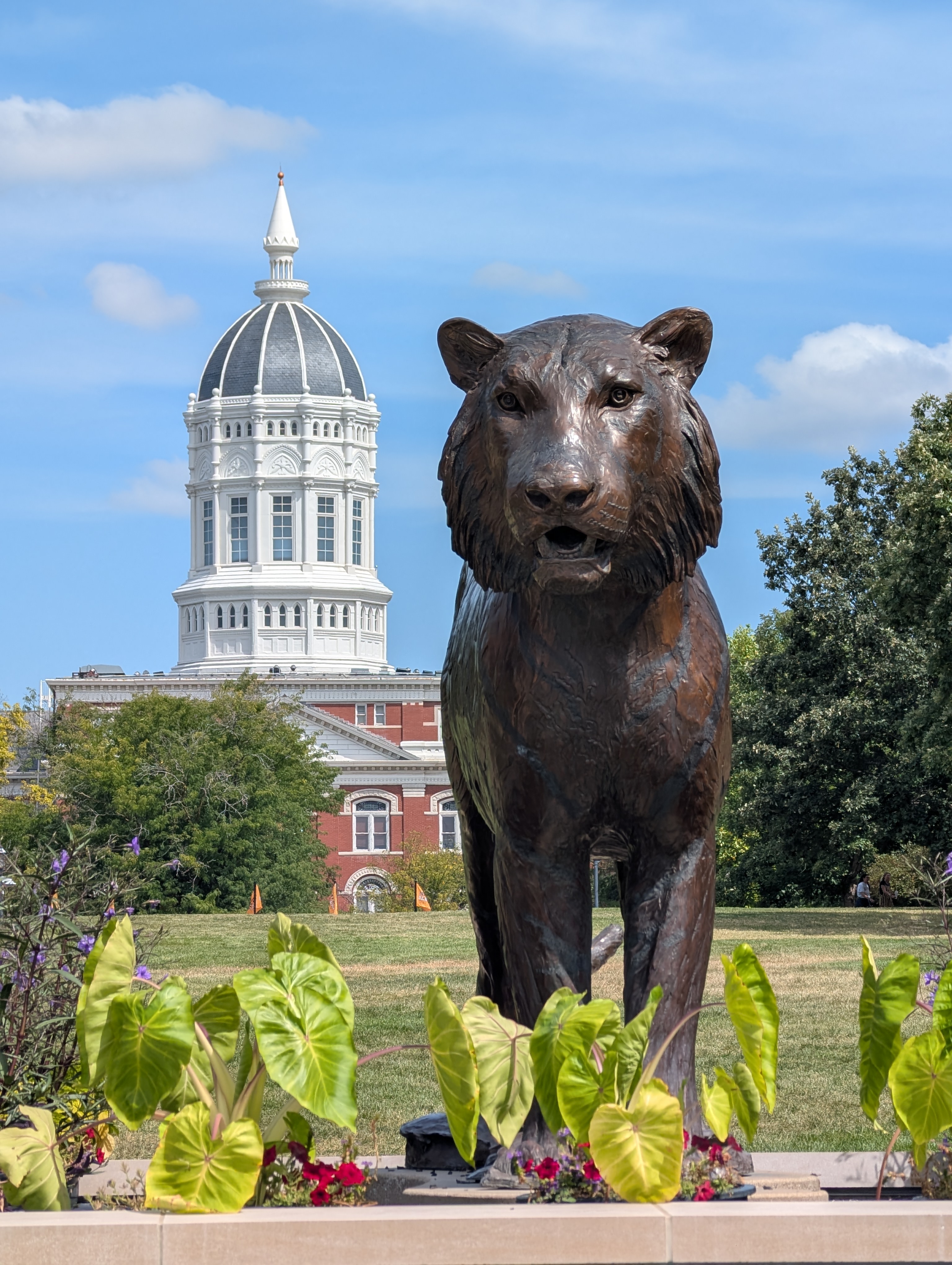 Tiger statue photo taken by Nique
