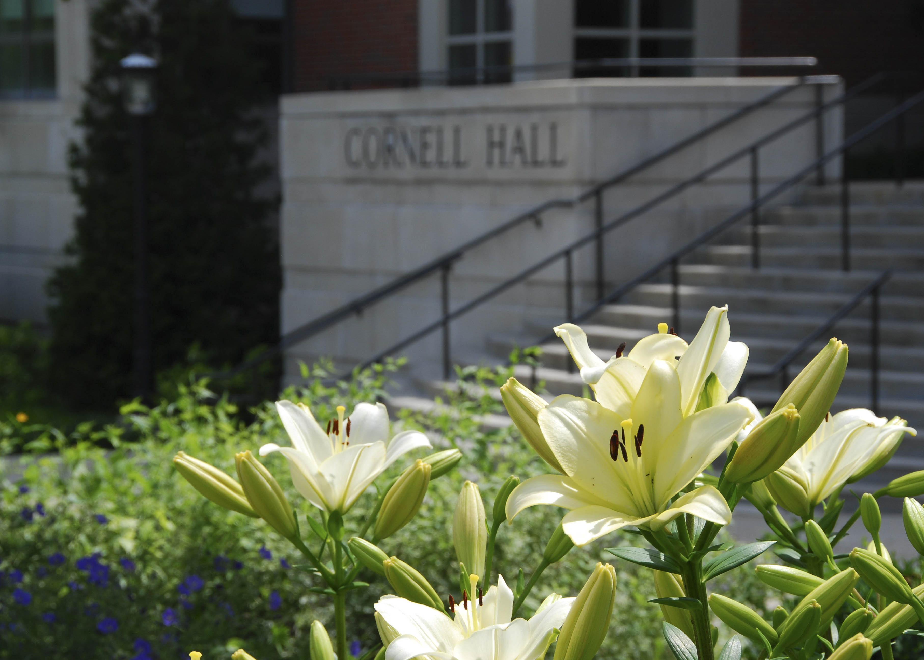 East cornell hall entrance summer