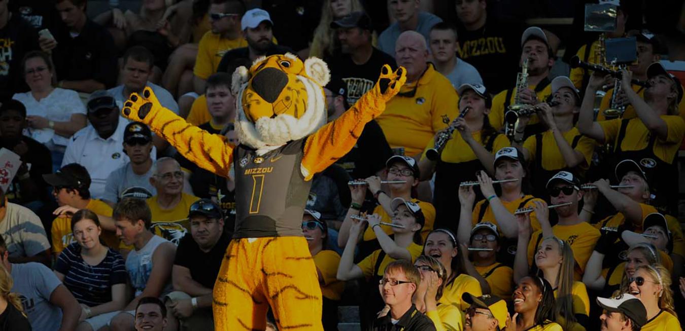 Image: Truman the Tiger at a football game.
