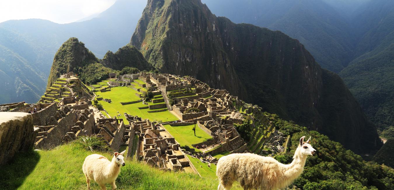 2 Lamas on moutain in Peru
