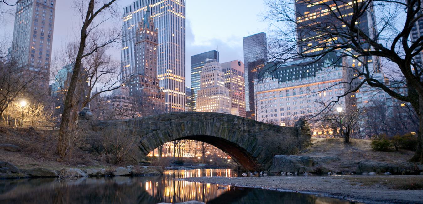 New York City Central Park Winter