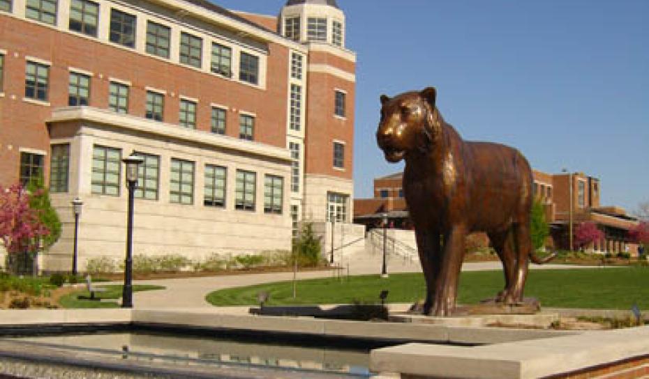 Image: Tiger Plaza