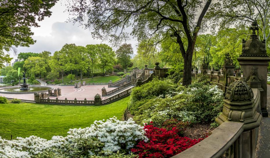 Central Park, New York City Spring
