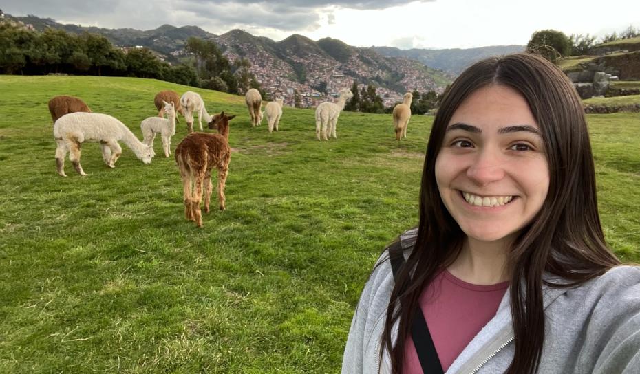 Student with Llamas in Peru
