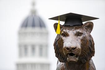 tiger with graduation cap