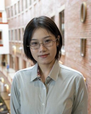 Mengfan Chen