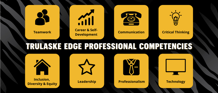 image: Edge professional competencies