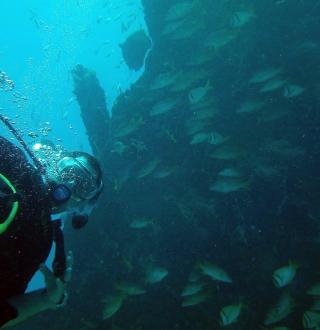 Anthony Vatterott scuba diving in the Florida Keys