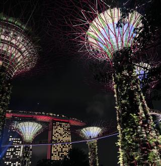 Image: Magic Trees at Gardens by the Bay, with Marina Bay Sands in the background